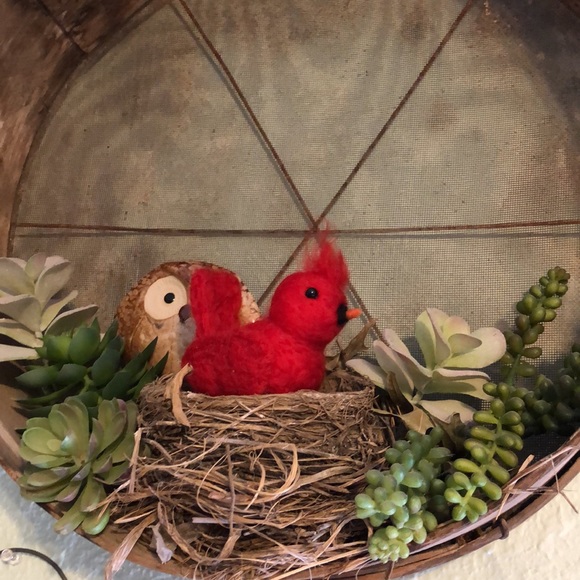 Handmade Needle Felted cardinal songbird - Picture 13 of 13